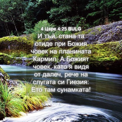 Picture 04 - 4 Царе 4:25 BULG - И тъй, стана та отиде при - Bible Verse Picture