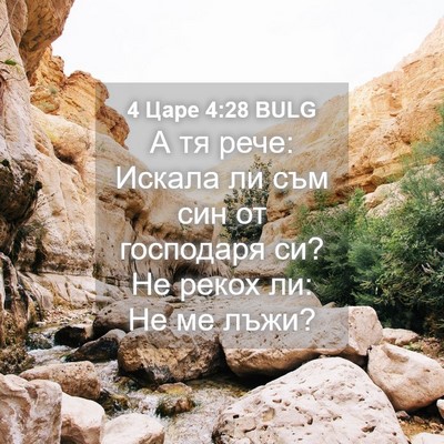 Picture 04 - 4 Царе 4:28 BULG - А тя рече: Искала ли съм син - Bible Verse Picture