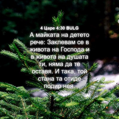 Picture 04 - 4 Царе 4:30 BULG - А майката на детето рече: - Bible Verse Picture