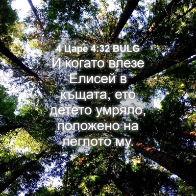 Picture 04 - 4 Царе 4:32 BULG - И когато влезе Елисей в - Bible Verse Picture