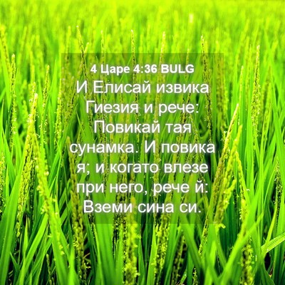 Picture 04 - 4 Царе 4:36 BULG - И Елисай извика Гиезия и - Bible Verse Picture