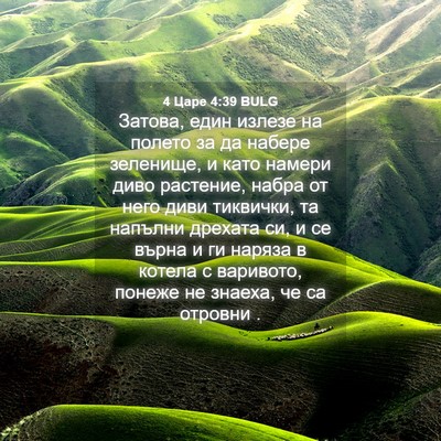 Picture 04 - 4 Царе 4:39 BULG - Затова, един излезе на - Bible Verse Picture