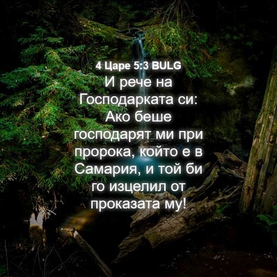 Picture 04 - 4 Царе 5:3 BULG - И рече на Господарката си: - Bible Verse Picture