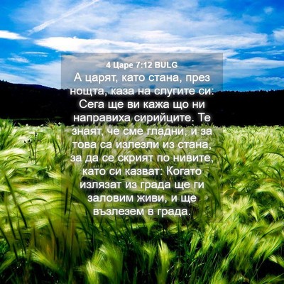 Picture 04 - 4 Царе 7:12 BULG - А царят, като стана, през - Bible Verse Picture