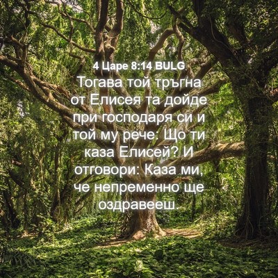 Picture 04 - 4 Царе 8:14 BULG - Тогава той тръгна от - Bible Verse Picture