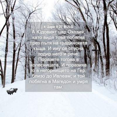 Picture 04 - 4 Царе 9:27 BULG - А Юдовият цар Охозия, като - Bible Verse Picture