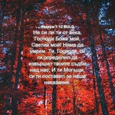 Picture 04 - Авакум 1:12 BULG - Не си ли ти от века, Господи - Bible Verse Picture