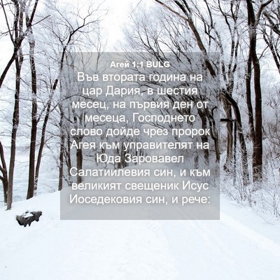 Picture 04 - Агей 1:1 BULG - Във втората година на цар - Bible Verse Picture