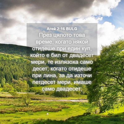 Picture 04 - Агей 2:16 BULG - През цялото това време, - Bible Verse Picture