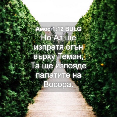 Picture 04 - Амос 1:12 BULG - Но Аз ще изпратя огън върху - Bible Verse Picture