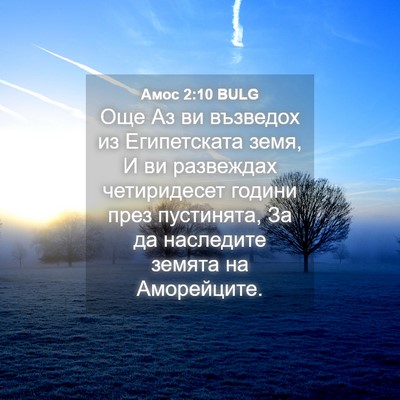 Picture 04 - Амос 2:10 BULG - Още Аз ви възведох из - Bible Verse Picture
