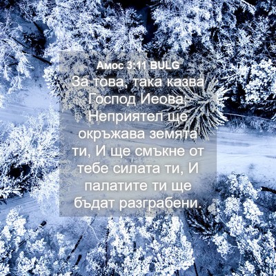Picture 04 - Амос 3:11 BULG - За това, така казва Господ - Bible Verse Picture