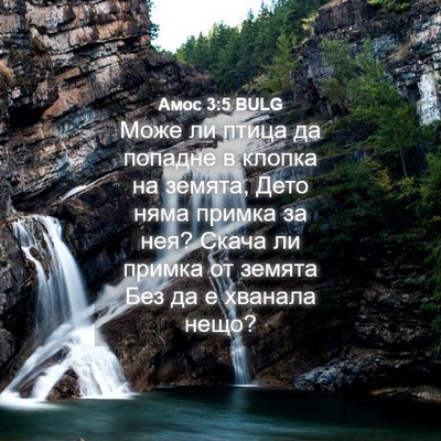 Picture 04 - Амос 3:5 BULG - Може ли птица да попадне в - Bible Verse Picture