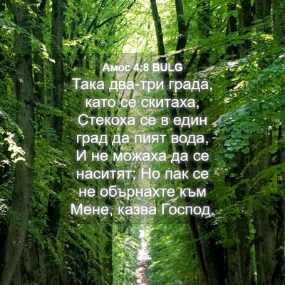Picture 04 - Амос 4:8 BULG - Така два-три града, като се - Bible Verse Picture