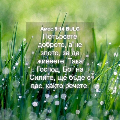 Picture 04 - Амос 5:14 BULG - Потърсете доброто, а не - Bible Verse Picture