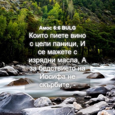 Picture 04 - Амос 6:6 BULG - Които пиете вино с цели - Bible Verse Picture