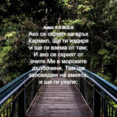 Picture 04 - Амос 9:3 BULG - Ако се скрият на връх - Bible Verse Picture