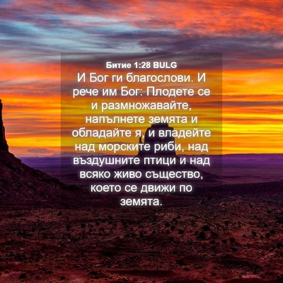 Picture 04 - Битие 1:28 BULG - И Бог ги благослови. И рече - Bible Verse Picture