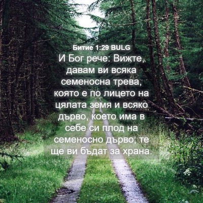 Picture 04 - Битие 1:29 BULG - И Бог рече: Вижте, давам ви - Bible Verse Picture