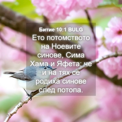 Picture 04 - Битие 10:1 BULG - Ето потомството на Ноевите - Bible Verse Picture