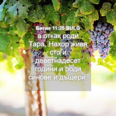 Picture 04 - Битие 11:25 BULG - а откак роди Тара, Нахор - Bible Verse Picture