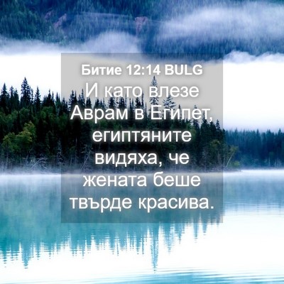 Picture 04 - Битие 12:14 BULG - И като влезе Аврам в - Bible Verse Picture