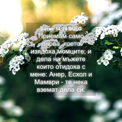 Picture 04 - Битие 14:24 BULG - Приемам само онова, което - Bible Verse Picture