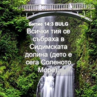 Picture 04 - Битие 14:3 BULG - Всички тия се събраха в - Bible Verse Picture