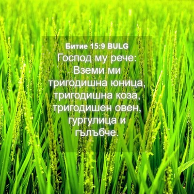 Picture 04 - Битие 15:9 BULG - Господ му рече: Вземи ми - Bible Verse Picture