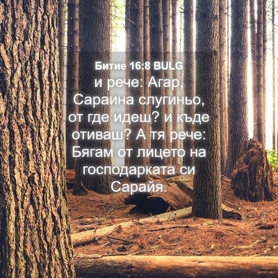 Picture 04 - Битие 16:8 BULG - и рече: Агар, Сараина - Bible Verse Picture