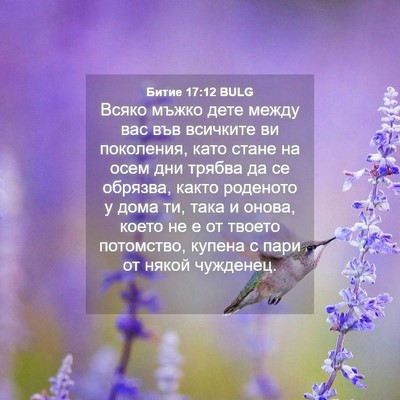 Picture 04 - Битие 17:12 BULG - Всяко мъжко дете между вас - Bible Verse Picture