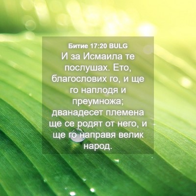 Picture 04 - Битие 17:20 BULG - И за Исмаила те послушах. - Bible Verse Picture