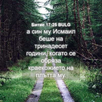 Picture 04 - Битие 17:25 BULG - а син му Исмаил беше на - Bible Verse Picture