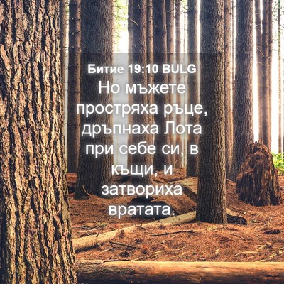 Picture 04 - Битие 19:10 BULG - Но мъжете простряха ръце, - Bible Verse Picture