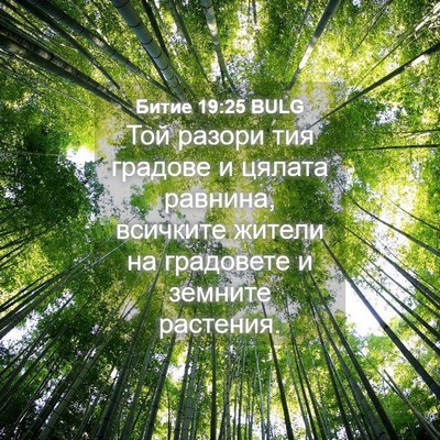 Picture 04 - Битие 19:25 BULG - Той разори тия градове и - Bible Verse Picture