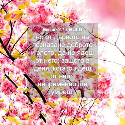 Picture 04 - Битие 2:17 BULG - но от дървото на познаване - Bible Verse Picture