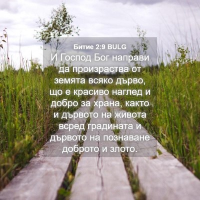 Picture 04 - Битие 2:9 BULG - И Господ Бог направи да - Bible Verse Picture