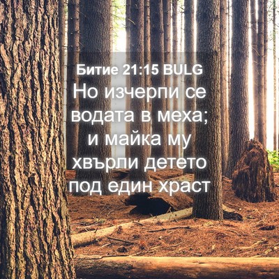 Picture 04 - Битие 21:15 BULG - Но изчерпи се водата в - Bible Verse Picture