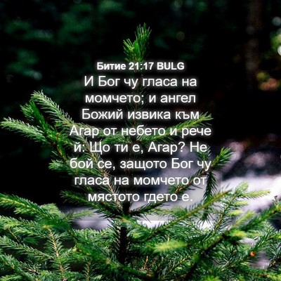 Picture 04 - Битие 21:17 BULG - И Бог чу гласа на момчето; и - Bible Verse Picture