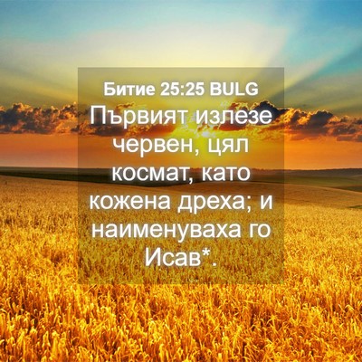 Picture 04 - Битие 25:25 BULG - Първият излезе червен, цял - Bible Verse Picture