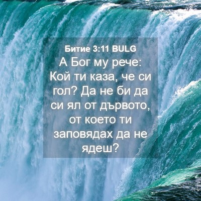 Picture 04 - Битие 3:11 BULG - А Бог му рече: Кой ти каза, - Bible Verse Picture