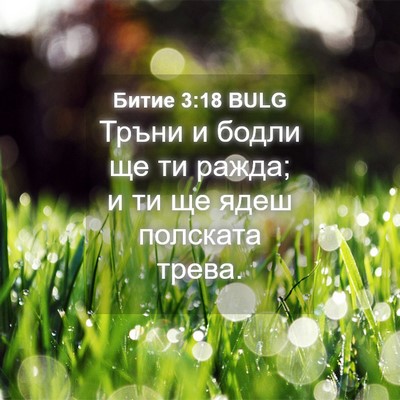 Picture 04 - Битие 3:18 BULG - Тръни и бодли ще ти ражда; и - Bible Verse Picture