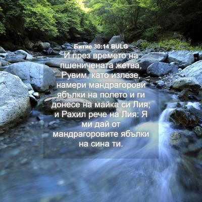 Picture 04 - Битие 30:14 BULG - И през времето на - Bible Verse Picture