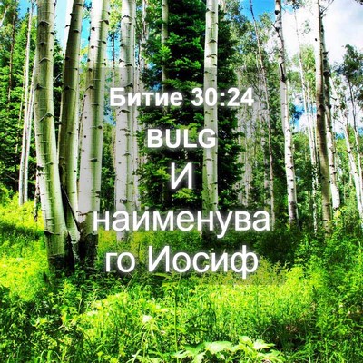 Picture 04 - Битие 30:24 BULG - И наименува го - Bible Verse Picture