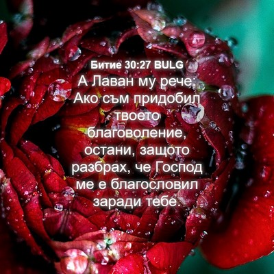 Picture 04 - Битие 30:27 BULG - А Лаван му рече: Ако съм - Bible Verse Picture