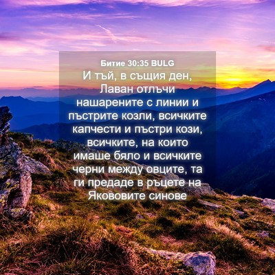 Picture 04 - Битие 30:35 BULG - И тъй, в същия ден, Лаван - Bible Verse Picture