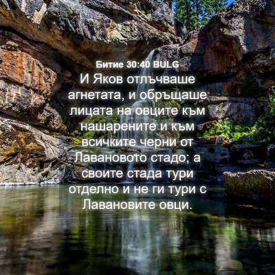 Picture 04 - Битие 30:40 BULG - И Яков отлъчваше агнетата, - Bible Verse Picture