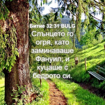 Picture 04 - Битие 32:31 BULG - Слънцето го огря, като - Bible Verse Picture