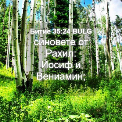 Picture 04 - Битие 35:24 BULG - синовете от Рахил: Иосиф и - Bible Verse Picture
