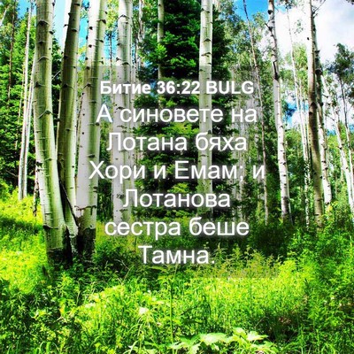 Picture 04 - Битие 36:22 BULG - А синовете на Лотана бяха - Bible Verse Picture